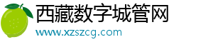 西藏数字城管新闻_智慧城市管理资讯
